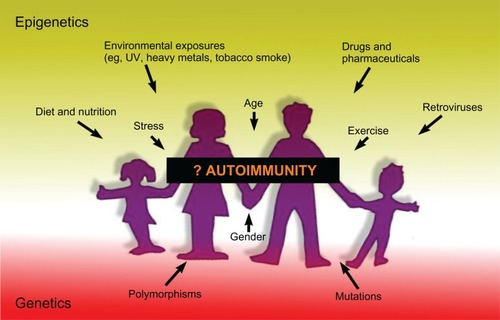 Figure 3 Summary of factors that may lead to the development of autoimmunity.