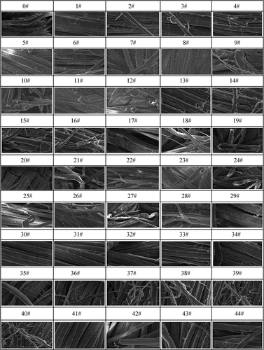 Figure 5. Relationship between museum-collection environment and micrograph of linen textile relics.