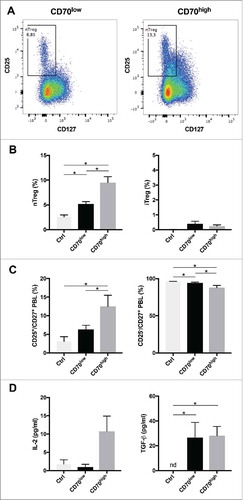 Figure 4. Role of CD70-positive CAFs on regulatory T cell accumulation. CT5.3 hTERT CAFs were sorted on the membrane expression of CD70 (see also Fig. S1). CD3+CD4+ T-cells were cultured alone (Ctrl) or co-cultured with CD70pos/CD70neg CAFs for 7 days. Afterwards, lymphocytes were analysed with a multicolour panel on a BD FACSAria II system (see also Fig. S2 for gating strategy). A: Representative dot plots showing the percentage of naturally occurring Tregs (nTregs) (CD3+CD4+CD25+CD127low) after 7 days of co-culturing with CD70low (left) or CD70high (right) CAFs; B: Percentage nTregs (left) within CD4+ T-cell subset and induced Tregs (iTreg) (right) within CD4+CD25− T-cell subset; C: Percentage CD25+ (left) and CD25− (right) cells within CD27+ T cells. D: IL-2 (left) and TGF-ß (right) protein levels in supernatants, 5 days after (co-)culture. Experiments were run in parallel with CD4+ T-cells from four different donors. *P < 0.05. Bars represent the mean ± SEM. nd, not detected.