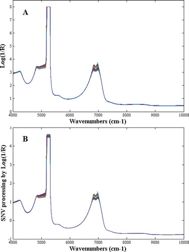 Figure 1. A: The raw NIR spectra; and B: the SNV preprocessed spectra of EWP enzymolysis samples.