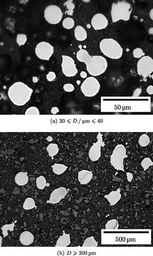 Figure 5. Optical micrographs of the powder studied. (a) 20 ⩽ D/ μm ⩽ 40;(b) D ⩾ 200 μm.
