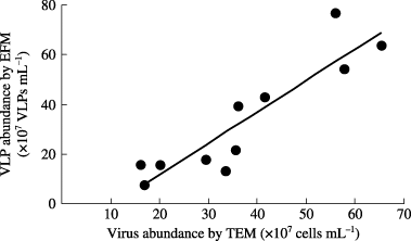 Figure 2  Comparison of viral counts using epifluorescence microscopy (EFM) and transmission electron microscopy (TEM). The line indicates the linear regression (EFM = 1.27 × TEM −13.80, R2 = 0.824).