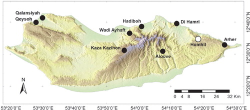 Figure 4. Distribution of Silisoptinus inermicollis Belles (black circles), and Silisoptinus hajeki sp. n. (white circle) in Socotra. The two species are endemic to Socotra.