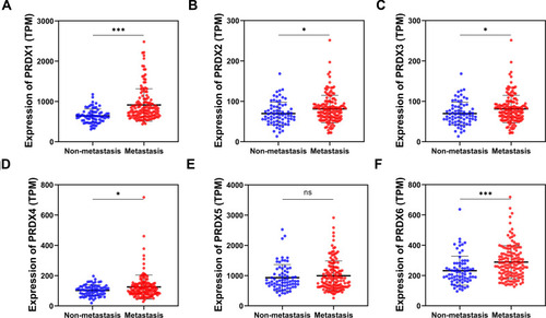Figure 2 The expression levels of PRDX family of non-metastasis group (blue) and metastasis group (red) in OSCC (TCGA cohort). (A) PRDX1; (B) PRDX2; (C) PRDX3; (D) PRDX4; (E) PRDX5; (F) PRDX6. (*P<0.05; ***P<0.001)