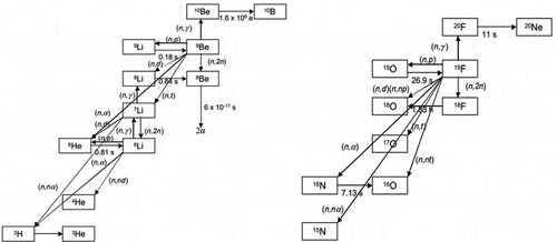 Fig. 4. Nuclear reactions with flibe salt.Citation8