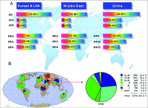 Figure 1. Analysis of worldwide distribution of HLA alleles and HIV-1 prevalence. (A) HIV-1 subtype distribution in China based on HIV DATABASES (www.hiv.lanl.gov). (B) HLA allele distribution.