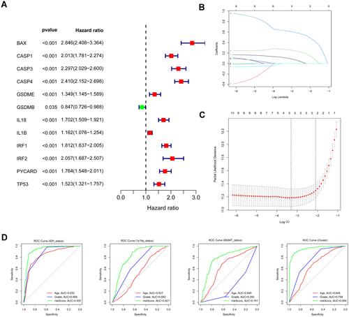 Figure 2 Identification of risk signature genes. (A) Univariate Cox regression analysis for all differentially expressed pyroptosis-related genes and obtained 13 prognostic genes with the criterion of p < 0.05. (B) Distribution of LASSO coefficients of 13 candidate genes. (C) 10-fold cross-validation for tuning the parameter selection in the LASSO regression model. (D) ROC curves of risk signature for predicting IDH status, 1p19q status, MGMT status, and clustering.