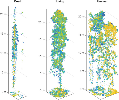 Figure 3. Examples of laser-derived tree segments. The figure shows three segments: a segment representing a dead tree (left), a segment representing a living tree (middle), and a result of unsuccessful segmentation (right). The segment points are colored by intensity with yellow points representing high-intensity points and blue points representing low-intensity points.