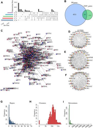 Figure 5 Identification of differentially expressed genes (DEGs). (A) The shared differentially expressed genes among the 5 subtypes. (B) The shared differentially expressed genes of subtypes intersected with EMT genes. (C) 387 genes mapped to the protein interactions network, red represents differentially up-regulated genes and purple represents differentially down-regulated genes; (D) Hub nodes identified by Degree method; (E) Hub nodes in the network identified by Closeness algorithm; (F) Hub nodes identified by Betweenness, where the redder color means higher score; (G–I) Degree distribution of the network, Closeness distribution of the network, and Betweenness distribution of the network.