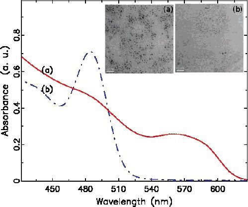 Figure 2. The ultraviolet visible (UV-vis) absorption spectra and TEM image of CdSe nanoparticles: (a) CdSe_QD3 and (b) CdSe_QD2 (right). The line-bar is 20 nm in size in both TEM images.