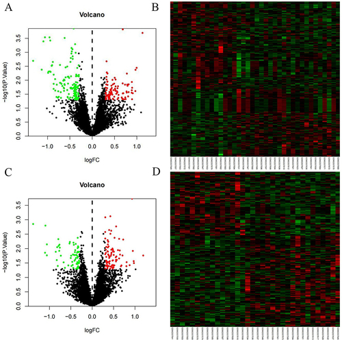 Figure 1 Volcano map and Heatmap of DEMs (A) Volcano map of DEMs after six months of treatment (B) Heatmap of DEMs after six months of treatment (C) Volcano map of DEMs after 30 months of treatment (D) Heatmap of DEMs after 30 months of treatment. Red: up-regulation; green: downregulation; DEMs, differentially expressed miRNAs.