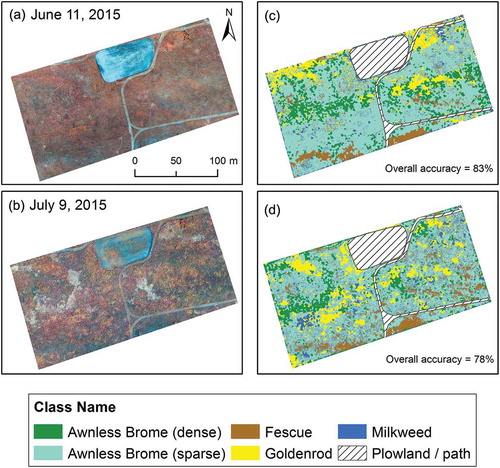 Figure 9. Original images (left, NIR–green–blue color composition) and corresponding classification maps (right). Images were acquired on 11 June and 9 July 2015 and with spatial resolution of 10 cm.