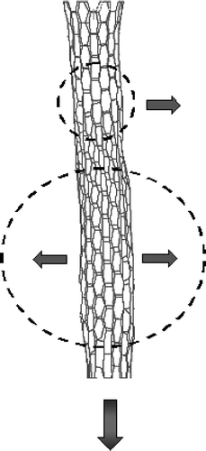 Figure 3. Auxetic (6,0) nanotube (ν = –0.932).