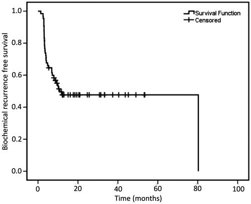 Figure 2. Overall biochemical recurrence-free survival analysis of the entire study cohort.