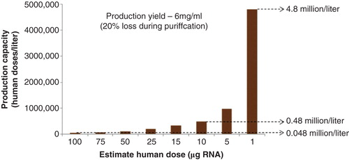 Figure 2. Projected production capacity from a 1-l transcription reaction (human doses/liter). The model assumes an RNA yield of 6 mg/ml, with a 20% loss during purification. A human dose from the current NHP data is predicted to be 100 µg RNA, but with additional improvements in vector design and delivery it could be reduced to between 1 and 10 µg.