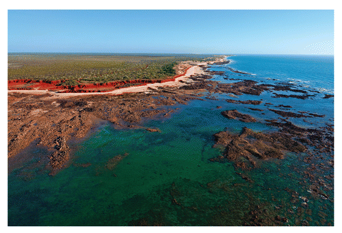 FIGURE 5. Walmadany (James Price Point) at mid-low tide (approximately 3 m), looking south towards Kardilakan (Quondong Point). The retreat of the tide exposes reefs of Lower Cretaceous (Valanginian–Barremian) Broome Sandstone. The reef system in the foreground of this photo is approximately 400 m from the edge of the beach. Photograph courtesy and copyright N. Gaunt.