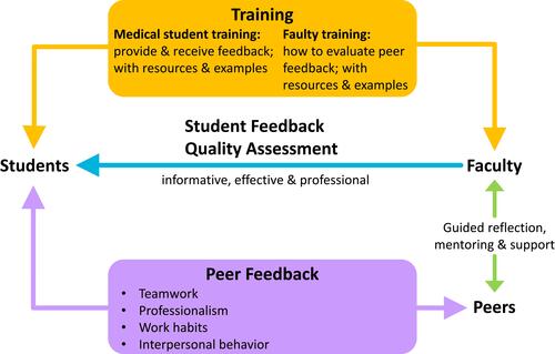 Figure 1 Peer assessment program goals and anticipated outcomes.