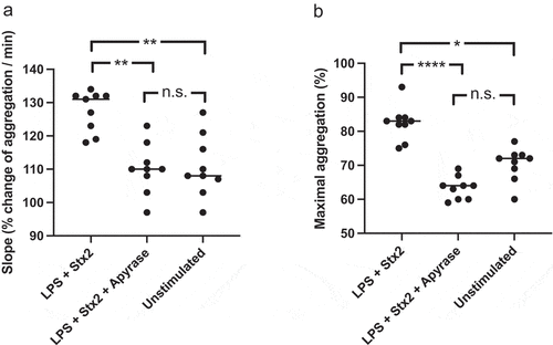 Figure 9. Aggregation in platelet-rich-plasma treated with apyrase and stimulated with Shiga toxin 2 and O157 LPS. Platelet aggregation induced by collagen in platelet-rich-plasma preincubated with Shiga toxin (Stx2) and E. coli O157 lipopolysaccharide (LPS) or left unstimulated (PBS), with or without apyrase. a) The speed of platelet aggregation (slope, see Supplementary Figure 4) in platelet-rich-plasma preincubated with Stx2 and O157 LPS was increased compared to unstimulated collagen-activated platelets. In the presence of apyrase this increase was abrogated. b) Similar differences were observed in maximal platelet aggregation with higher aggregation in samples preincubated with Stx2 and O157 LPS compared to untreated samples. Apyrase abolished this effect. Data are presented from individual experiments, the bar represents the median. n.s: not significant, *P < 0.05, **P < 0.01, ****P < 0.0001. Kruskal-Wallis multiple-comparison test followed by Dunn’s procedure.