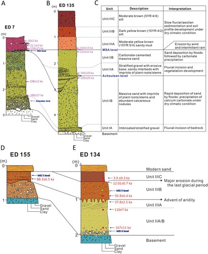 Figure 3. Stratigraphy description at the EDAR sites. A) Site EDAR 7, B) site EDAR 135, C) description and interpretation of stratigraphy units, D) EDAR 155 with the height of OSL sampling marked with a red dot, and E) EDAR 134 with the height of OSL sampling marked with red dots.