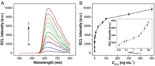 Figure 25. Electrochemiluminescence (ECL) intensity response of the BPE-ECL biosensor with different OTA concentrations in (a). Variation of ECL signal as a function of OTA concentration; insert of the linear relationship between the ECL intensity signal and logarithm OTA concentration in (b). Reprinted with permission from Lu et al. (Citation2021). Copyright 2021 Elsevier.