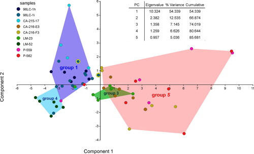 Figure 12. Principal component analysis based on growth-invariant characters of neanic chamberlets. Grouping by samples (point colours) and groups (background colour of convex hulls). Points with yellow margins represent the position of ‘L. group 2’.