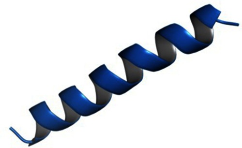 Figure 1 Three-dimensional structure of B1. Note: The structure was generated by homology modeling using MODELLERCitation20 and the figure was prepared using PyMol.Citation35