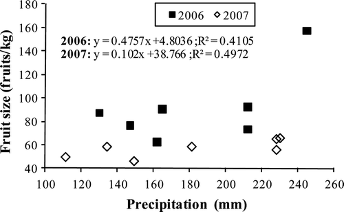 Supplementary Figure 1. Influence of total amount of precipitation occurred between May and September in the total fruit size. Figura adicional 1. Influencia de las precipitaciónes caídas entremayo y septiembre en el tamaño total de los frutos (buenos y los abortados).