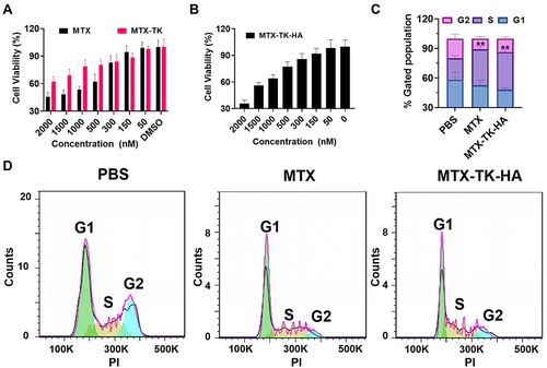 Figure 4 (A and B) Cell viability of HaCaT cells with the treatment of MTX, MTX-TK and MTX-TK-HA at different doses. (C and D) Cell cycle study of MTX-TK-HA/PLA-mPEG nanoassemblies compared with free MTX solution. Results are presented as the mean ± SD (n=3). **P<0.01, One-Way ANOVA test.