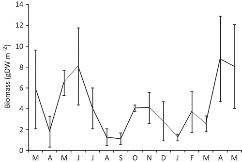 Figure 4. Temporal variations of the biomass (wet weight) of the population of Alitta succinea from station C, Romanian coast of the Black Sea (mean values ± SD).
