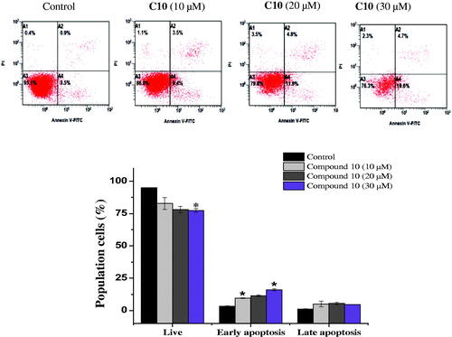 Figure 5. Effect of compound 10 on apoptosis induction of MCF-7 cells treated with various concentrations of C10 (10, 20 and 30 μM) for 24 h. Apoptosis quantification was performed by Annexin V-FITC/PI dual staining assay. Data represents replicates of three experiments, and is expressed as the average ± SD. Data was analysed using the Student’s t test.