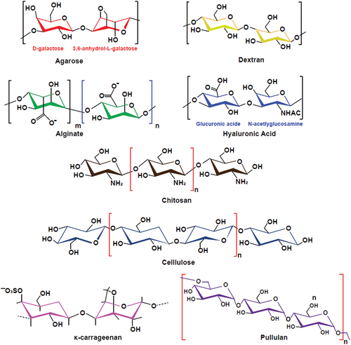 Figure 1. Represent chemical structure of polysaccharide-based hydrogels. agarose is consisting of β-(1–4) (3pc6)-dehydrated-L-galactose (left) and α-(1–3)-D-galactose (right). Hyaluronic acid (HA) is composed of alternating residues of β-D-(1–3) glucuronic acid (left) and β-D-(1–4)-N-acetylglucosamine (right). Alginate is composed of a linear copolymer of β- (1–4)-linked l-guluronic acid units and α-L-guluronic acid residues.