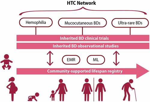 Figure 5. HTC network organization of inherited BDs research rooted in a community-supported lifespan registry, envisioned by WG6 Resources and Funding subgroup. BD: bleeding disorder, EMR: electronic medical record, HTC: hemophilia treatment center, ML: machine learning, WG: working group
