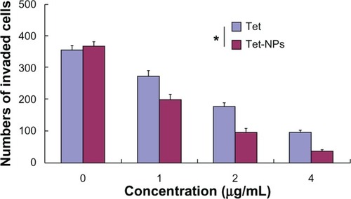 Figure 12 Quantification of cell invasion.Notes: Each data point represents the mean ± SD from three independent experiments; *represents P<0.05 versus equivalent doses of Tet.Abbreviations: SD, standard deviation; Tet, tetrandrine; Tet-NPs, tetrandrine-loaded poly(N-vinylpyrrolidone)-block-poly(ε-caprolactone) nanoparticles.