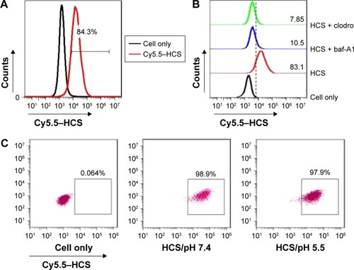 Figure 4 Internalization of HCSs. (A) Internalization of Cy5.5–HCSs in Eca109 cells examined using FACS. (B) Analysis of the potential mechanism of Cy5.5–HCS endocytosis in Eca109 cells. (C) Effect of pH on the uptake of HCSs by Eca109 cells.Abbreviations: HCS, hollow carbon sphere; FACS, fluorescence-activated cell sorting.