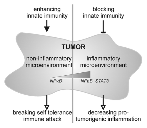 Figure 1. Depending upon the inflammatory nature of the tumor microenvironment which goes along with differences in NFκB and STAT3 activation, different tumor entities require either enhancing or suppressive modulation of innate immune responses.