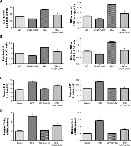 Figure 4 Inhibition of GOAT attenuated hepatic inflammation induced by lipotoxicity.