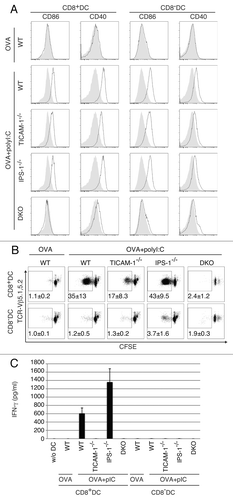 Figure 5. TICAM-1 in CD8α+ DC is more important than IPS-1 in polyI:C-induced cross-priming. OVA and polyI:C were administered i.v. and 4 h later, CD8α+ and CD8α- DC were isolated from the spleen. CD86 and CD40 expressions were determined by FACS (A). Filled gray and black line show isotype control and target expression, respectively. Alternatively, CD8α+ and CD8α- DC were co-cultured with CFSE-labeled RAG2−/−/OT-1 T cells for 3 d. The cross-priming activity of each DC subset was determined with sequential dilution of CFSE (B) and IFNγ production (C). IFNγ was measured by CBA assay. The data shown are representative of two independent experiments. Err bar shows SD.