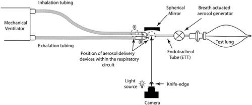 Figure 1. Schematic illustration of the experimental setup used in this study.