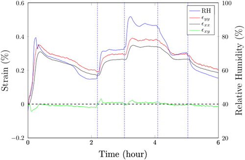 Figure 1. Time evolution of the Relative Humidity (RH) and of the associated strains measured on free dentin.