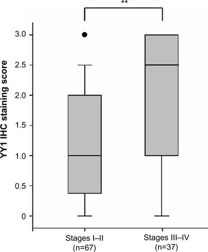 Figure 3 Comparison of the protein levels of YY1 between stages I–II and stages III–IV ESCC tissue samples.