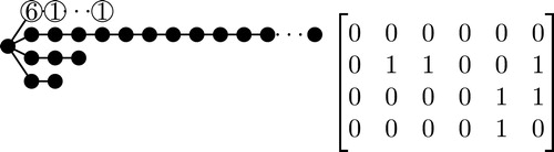 Fig. 3 S2=S25,3,2 with corresponding matrix C2.