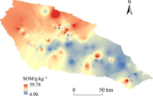 Figure 4. Spatial distribution of SOM content.