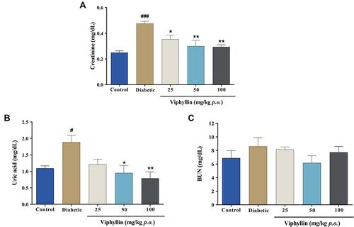 Figure 7 Effect of Viphyllin on serum levels of renal health markers in diabetic rats. (A) Creatinine, (B) uric acid, and (C) blood urea nitrogen. The data were analyzed by one-way ANOVA followed by Tukey’s test. Values are mean±SD (n=5). #p<0.05 and ###p<0.001 vs control; *p<0.05 and **p<0.01 vs diabetic control.