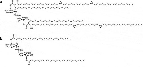 Figure 2. Structures of a) TDM (cord factor) and b) TDB, a low toxicity derivative of TDM which has been evaluated as a vaccine adjuvant.[Citation62]