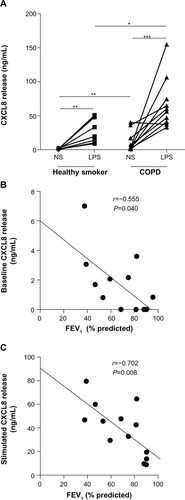 Figure 1 Baseline and LPS-induced CXCL8 release from PBMCs of patients with COPD and healthy smokers.Notes: (A) Comparison of baseline (NS) and LPS-induced CXCL8 release in PBMCs from healthy smokers (n=10) or COPD patients (n=11). Cells were stimulated with LPS (10 ng/mL) for 24 hours. CXCL8 release was determined by enzyme-linked immunosorbent assay. Horizontal bar represents median. *P<0.05, **P<0.01, ***P<0.001. (B) Spearman’s rank correlation between baseline CXCL8 release and FEV1. (C) Spearman’s rank correlation between LPS-induced CXCL8 release and FEV1.Abbreviations: COPD, chronic obstructive pulmonary disease; FEV1, forced expiratory volume in 1 second; LPS, lipopolysaccharide; NS, not stimulated; PBMCs, peripheral blood mononuclear cells.