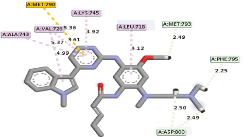 Figure 7. Mode of interactions between compound 19 and EGFR receptor.