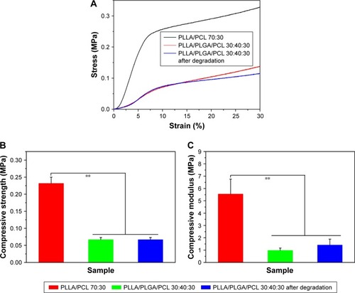 Figure 8 (A) The compressive stress–strain curves of PLLA/PCL 70:30 scaffold, PLLA/PLGA/PCL 30:40:30 scaffold, and the PLLA/PLGA/PCL 30:40:30 scaffold after degradation in vitro for 5 weeks. (B) Compressive strength and (C) compressive modulus of the corresponding scaffolds.Note: **P<0.01.Abbreviations: PCL, poly(ε-caprolactone); PLGA, poly(lactic-co-glycolic acid); PLLA, poly(l-lactic acid).