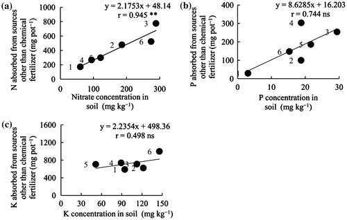 Figure 2. Relationships between soil Nitrate, P, and K and N, P, and K absorbed from sources other than chemical fertilizer by stem lettuce. Numbers on the left of dots represent the numbers of the soils for pot experiment. Note. **significant at P < .01; ns, not significant.