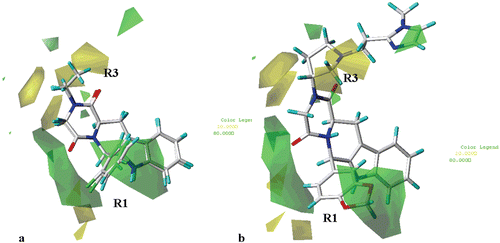 Figure 7.  Contour maps of CoMFA steric regions (green, favoured; yellow, disfavoured) depicted around THBC 23 and 27 (a) and around the ihibitor 62 (b) Inhibitors are depicted in stick mode and coloured by atom type.