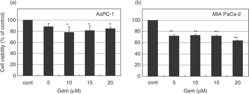 Figure 2. Cytotoxic effect of gemcitabine in pancreatic carcinoma cells. AsPC-1 and MIAPaCa-2 cells were treated with various concentrations (0–30 μM) of gemcitabine for 24 h. After treatment, cells were rinsed with phosphate-buffered saline and left for 48 h in the incubator at 37°C. Cell viability was measured by an MTT-based WST-8 assay. Values represent mean ± SEM of triplicate samples of a representative experiment; similar results were obtained in three independent experiments. *P < 0.05, compared with the control in AsPC-1 cells (a). **P < 0.0001, compared with the control in MIAPaCa-2 cells (b).